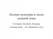 Лесные культуры в лесах зеленой зоны