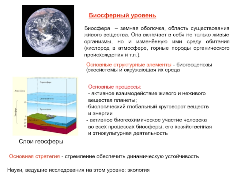 Биосферный уровень презентация