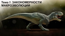 Тема 7. ЗАКОНОМЕРНОСТИ МАКРОЭВОЛЮЦИИ