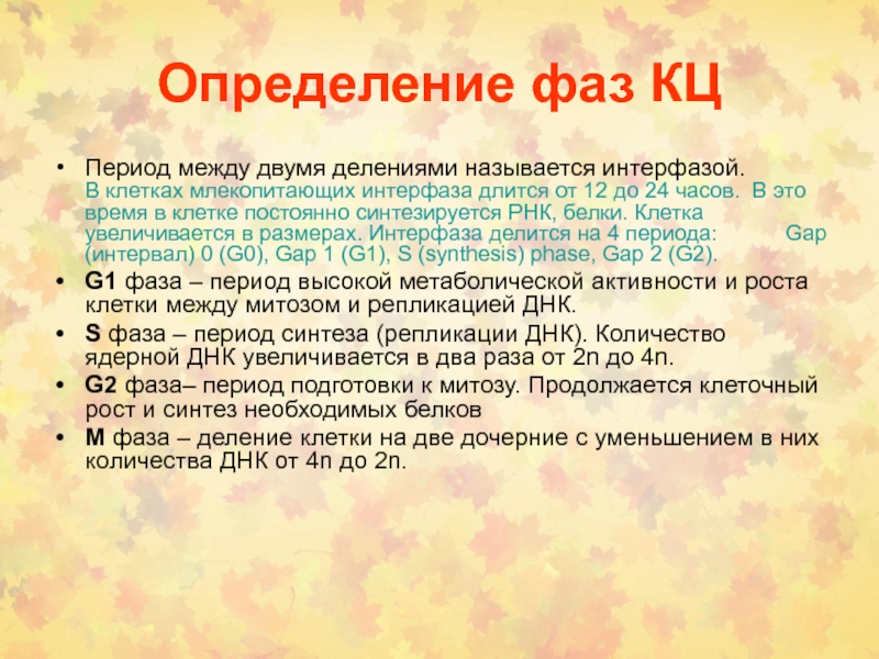 Период подготовки клетки к делению называется. Период между двумя делениями клетки называется. Фаза определение. Период между двумя делениями клетки по продолжительности. 2. Определить фазы интерфазы..