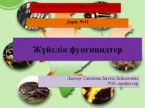 Қ АЗА Қ ҰЛТТЫҚ АГРАРЛЫҚ УНИВЕРСИТЕТІ
Дәріс № 11
Жүйелік фунгицидтер
Лектор:
