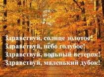 Здравствуй, солнце золотое!
Здравствуй, небо голубое!
Здравствуй, вольный