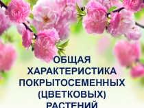 ОБЩАЯ ХАРАКТЕРИСТИКА ПОКРЫТОСЕМЕННЫХ (ЦВЕТКОВЫХ) РАСТЕНИЙ
