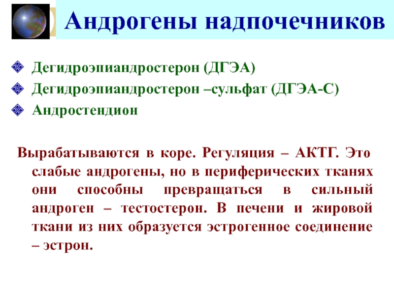 Андрогены надпочечников