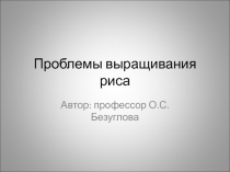 Проблемы выращивания риса