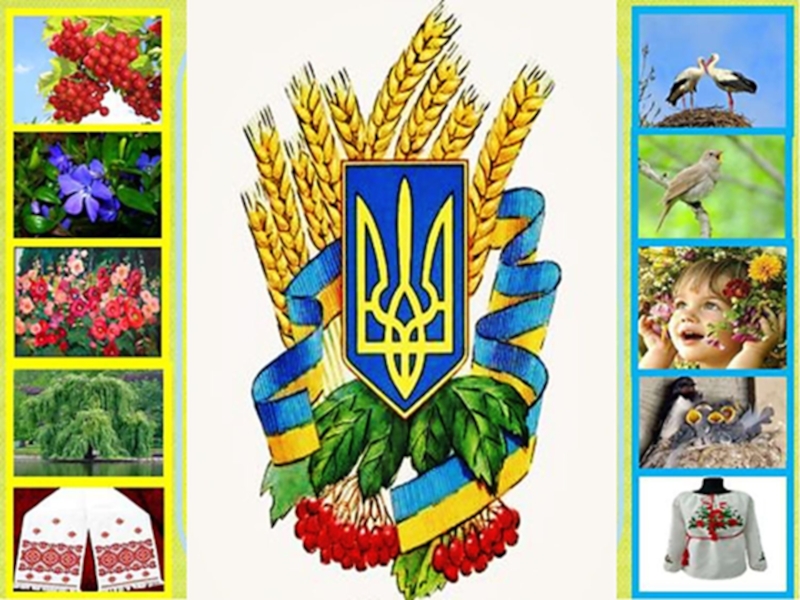 Какой символ украины. Украинские символы. Народные символы Украины. Символы Украины неофициальные. Символы Украины рисунки.