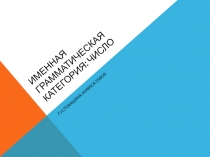 Именная грамматическая категория: число