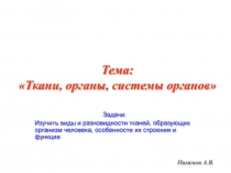 Тема: Ткани, органы, системы органов