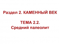 Раздел 2. КАМЕННЫЙ ВЕК ТЕМА 2.2. Средний палеолит