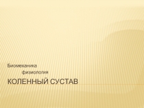 Коленный сустав
