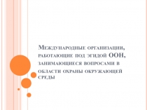 Международные организации, работающие под эгидой ООН, занимающиеся вопросами в