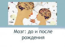 Мозг : до и после рождения