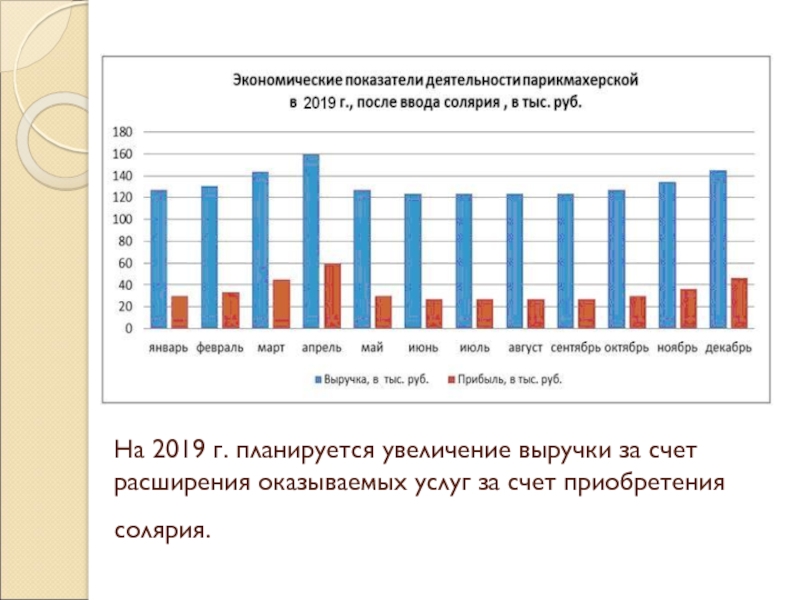 На 2019 г. планируется увеличение выручки за счет расширения оказываемых услуг за счет приобретения солярия.