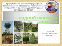 РОДНОЙ ПРИРОДЫ КРАСОТА