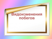 Видоизменения побегов