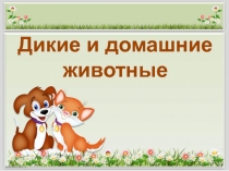 Дикие и домашние животные