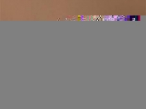 Кл.Насекомые. Особенности внутреннего строения