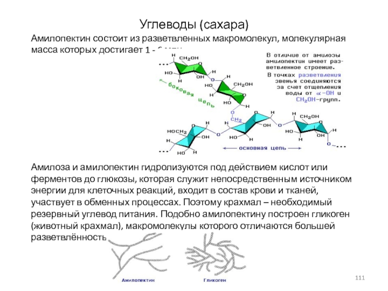 Макромолекулы крахмала состоят из остатков