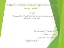 Қ.А Ясауи атындағы қазақ түрік халықаралық университеті