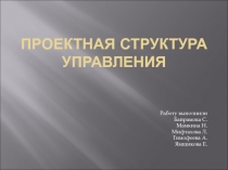 Проектная структура управления