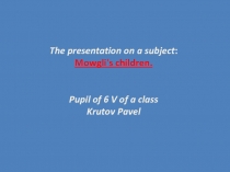 The presentation on a subject :
Mowgli's children.
Pupil of 6 V of a