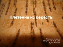 Плетение из бересты