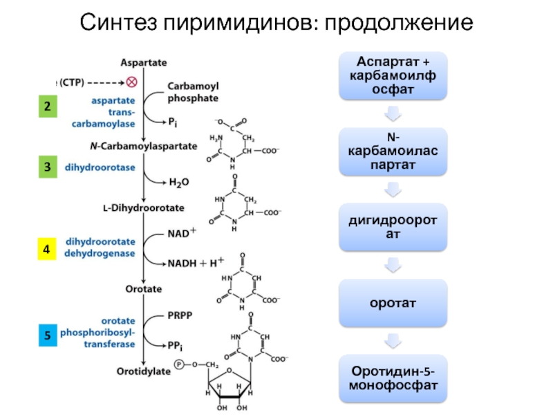 Третий синтез