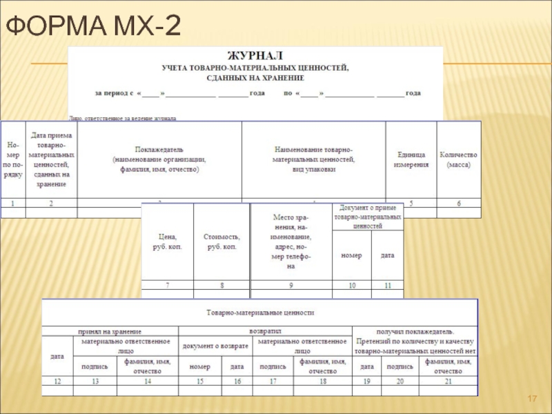 Склады общего пользования ФОРМА МХ-2 ФОРМА МХ-2