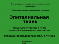 Волгоградский государственный медицинский университет Кафедра гистологии,