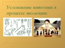 Усложнение животных в процессе эволюции