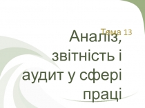 Аналіз, звітність і аудит у сфері праці