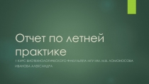Отчет по летней практике