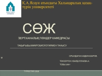 Қ.А.Ясауи атындағы Халықаралық қазақ - түрік университеті