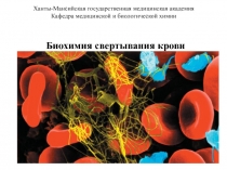 Ханты-Мансийская государственная медицинская академия Кафедра медицинской и
