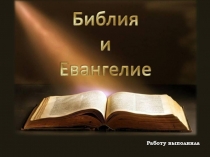 Работу выполнила