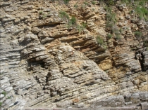 1
УГМА
Нервная система