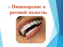 Пищеварение в ротовой полости