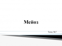 Мейоз