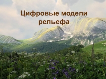 Цифровые модели рельефа
