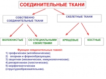 СОБСТВЕННО СОЕДИНИТЕЛЬНЫЕ ТКАНИ
СКЕЛЕТНЫЕ ТКАНИ
ВОЛОКНИСТЫЕ
КОСТНЫЕ
СО