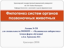 Филогенез систем органов позвоночных животных