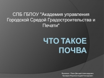 Что такое почва