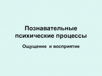 Познавательные психические процессы