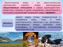 земли, недра, почвы, поверхностные и подземные воды, леса и иная