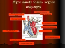 Жүре пайда болған жүрек ақаулары