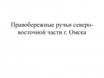 Правобережные ручьи северо-восточной части г. Омска