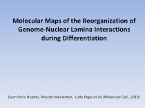 Molecular Maps of the Reorganization of Genome-Nuclear Lamina Interactions