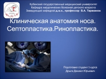 Клиническая анатомия носа. Септопластика.Ринопластика
