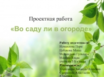 Проектная работа