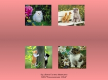 Куцобина Галина Ивановна МОУ